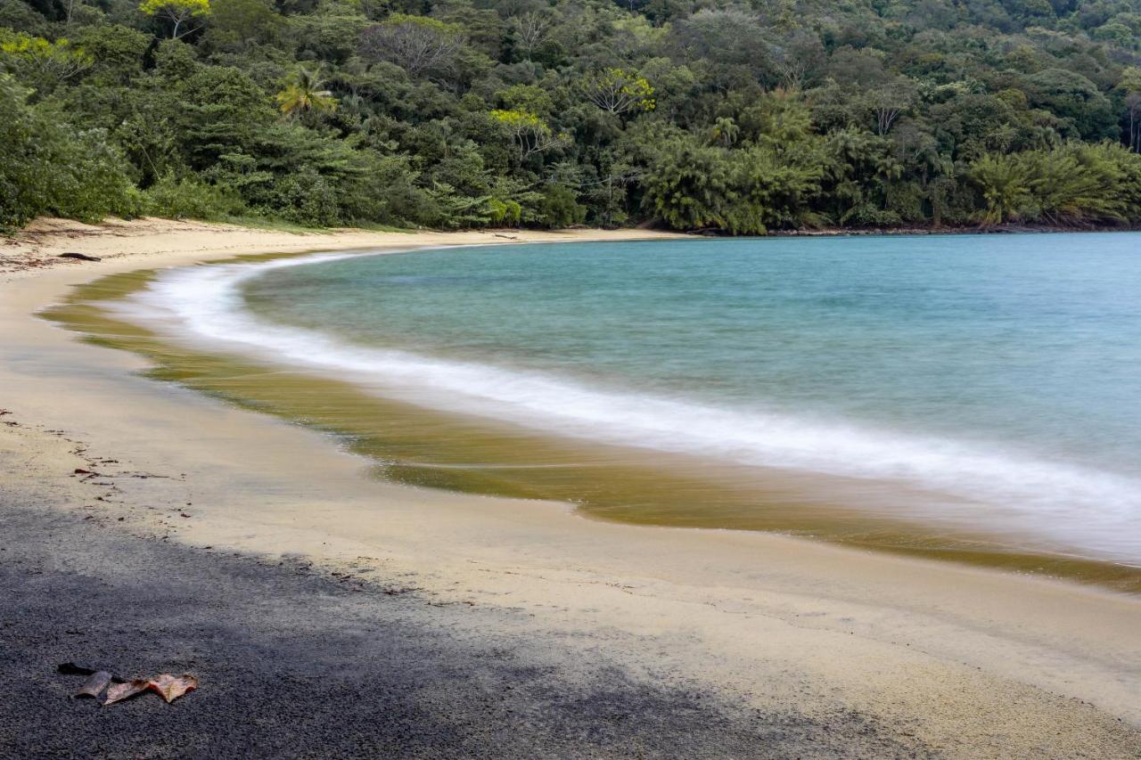 Fauna Praia do Bananal Dış mekan fotoğraf