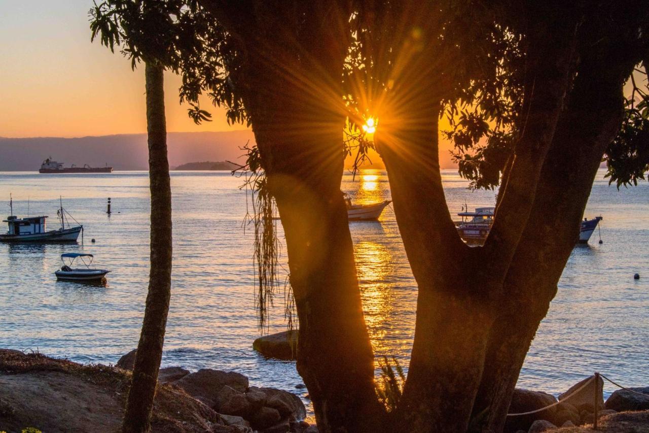 Fauna Praia do Bananal Dış mekan fotoğraf
